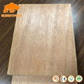 1220*2440mm 12mm/15mm /18mm Commercial Plywood For Decoration