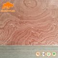 Cheap Price 3A Grade 15mm Sapeli Laminated Fancy Plywood For Cabinets