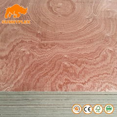 Cheap Price 3A Grade 15mm Sapeli Laminated Fancy Plywood For Cabinets