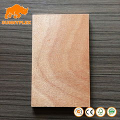 cheap 12mm bintangor plywood , commercial plywood for construction