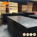 Hot sale 9mm 12mm 15mm 18mm black brown film faced plywood price for constructio 1