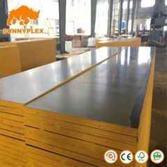 full piece film faced big size veneer eucalyptus hardwood plywood