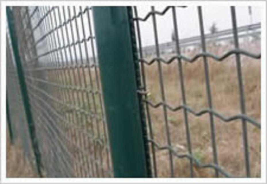 Wire Mesh Fence 5