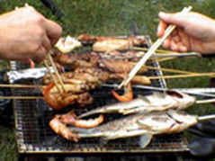 Wire Mesh Barbecue