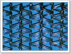 Convery Belt Mesh