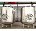 10BBL 100BBL Bright Beer Tank 1