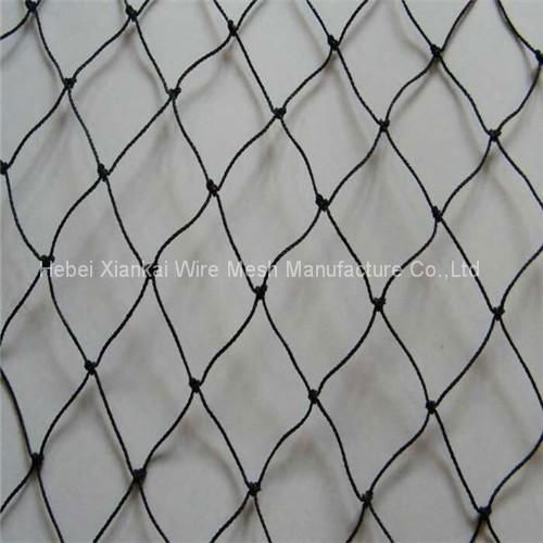 Knotted Polyethylene Bird Netting 3