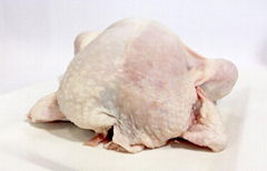 Quality Processed Frozen Whole Chicken