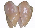 Quality Processed Frozen bonless Chicken