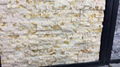 Beige Marble Mosaic Tiles 5