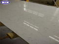 Carrara White Quartz Countertop 1