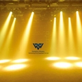 19Pcs RGBW 4in1 LED Moving Head Zoom with Circle 4