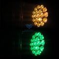 19Pcs RGBW 4in1 LED Moving Head Zoom with Circle 5