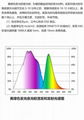 油墨印花注塑长短效型夜光材料 4