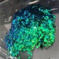 Supply polyester glitter shapes Shaped glitter powder 6