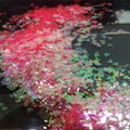  Shaped glitter powder 5