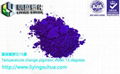 Thermosensitive color change powder for injection molding