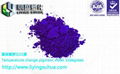 Thermosensitive color change powder for injection molding 2