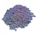 Photochromic microcapsule pigment