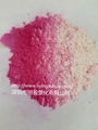 Paint printing light powder