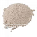 Paint printing light powder