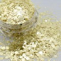  Shaped glitter powder