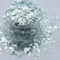  Shaped glitter powder