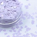  Shaped glitter powder 8