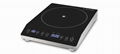 Commercial Induction Cooktop 1