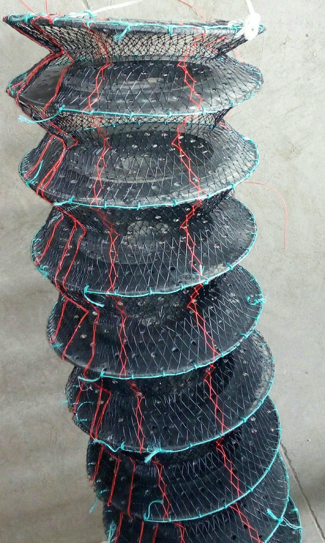 Scallops breeding cages Scallop capture cage