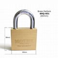 Hot sale 2018 BRQ-601 luxury & elegant brass padlock made in China