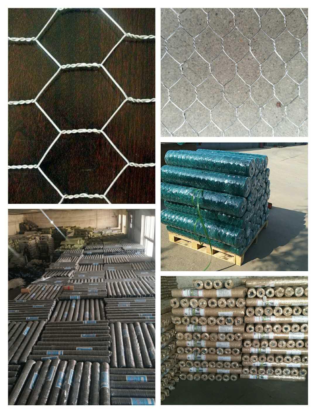 Galvanized /PVC Coated Hexagonal wire mesh 2