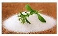 wholesale stevia sugar for Sweeteners