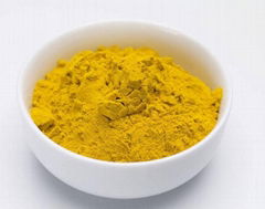 Ginger Powder