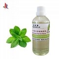 Peppermint Oil China Manufacturer Competitive Prices