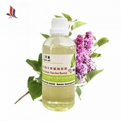 Clove Oil Pure Natural Factory Supply