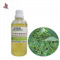 Pure Natural Litsea Cubeba Oil