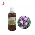 Thyme Oil Pure Natural Manufacturer