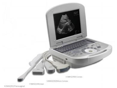 Dolphi PRO Convex Probe Standard B/W Ultrasound Scanner Ce & ISO Approved