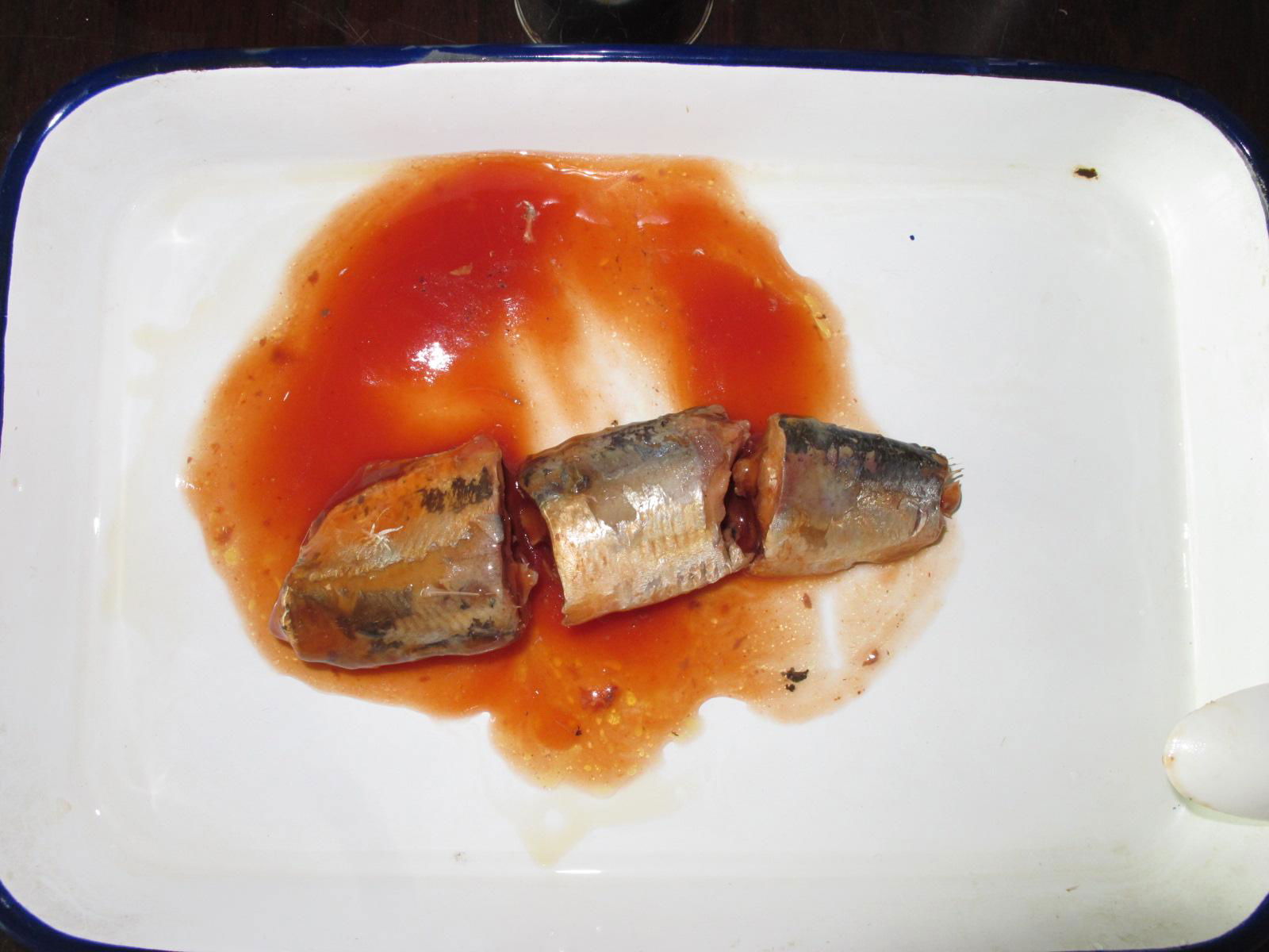canned Sardine in Tomato Suace