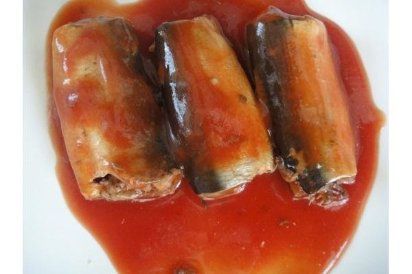 canned Sardine in Tomato Suace 3