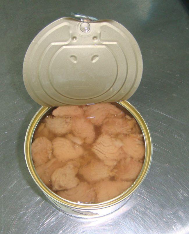 Canned Tuna in brine Preservation Instant food										