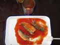 Canned Tuna in tomato sauce Preservation