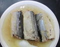 Canned mackerel in brine Preservation Instant food		 3