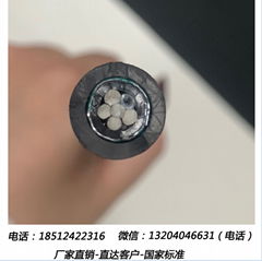 GYFTZA53非金属阻燃双铠装53型直埋管光缆石油管道专用防爆