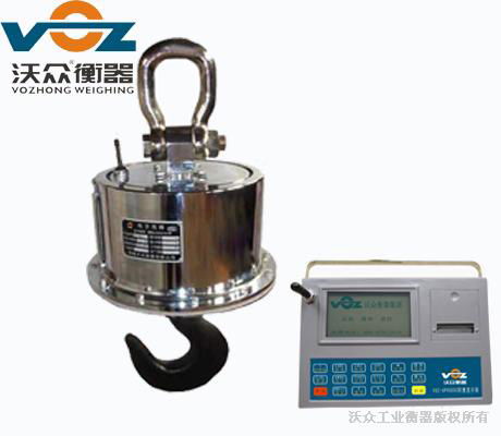 Promotional Top Quality Industry Electronic Crane Scale 2