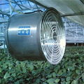 hanging fan for greenhouse venlitation