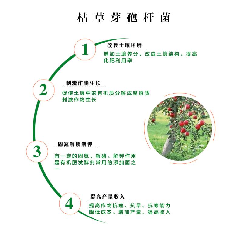 枯草芽孢杆菌固氮解磷解钾防烂根青枯病改良土壤农用水稻稻瘟病 4