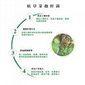 枯草芽孢桿菌固氮解磷解鉀防爛根青枯病改良土壤農用水稻稻瘟病 4