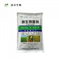 地衣芽孢杆菌养殖饲料添加生物净